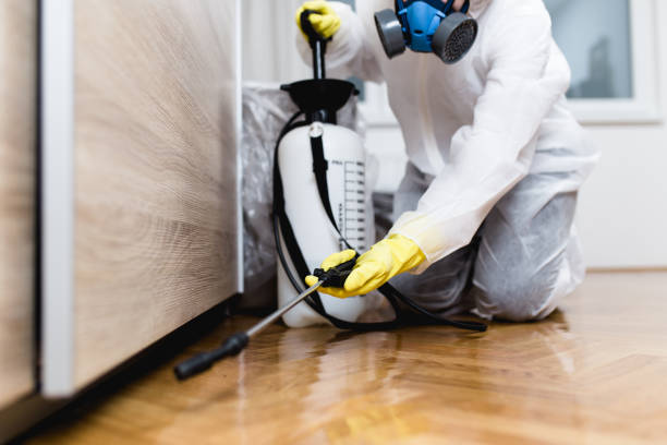 Best Wasp Removal Services  in Carrizozo, NM