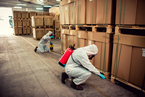 Best Rat Extermination Near Me  in Carrizozo, NM