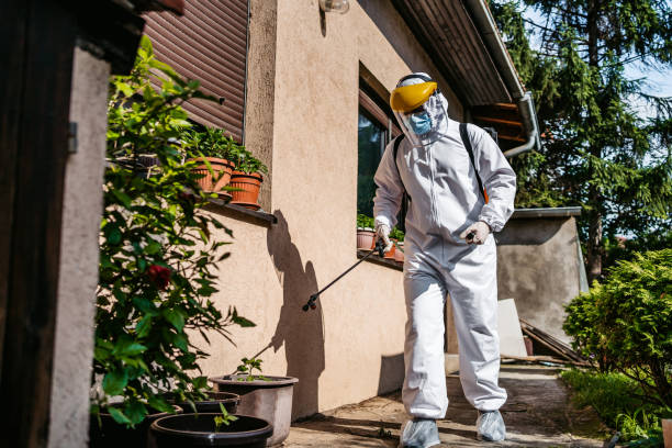 Best Local Pest Control Services  in Carrizozo, NM