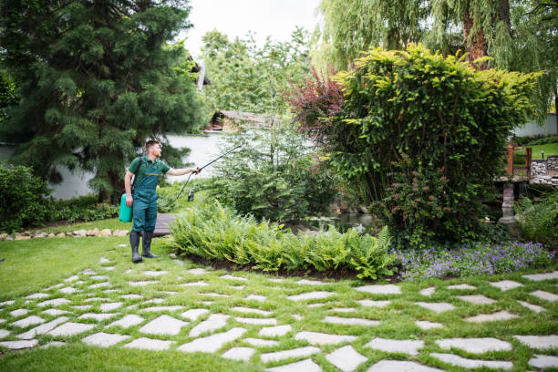 Best Wasp Removal Services  in Carrizozo, NM