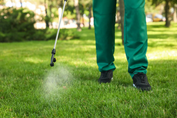 Best Emergency Pest Control  in Carrizozo, NM