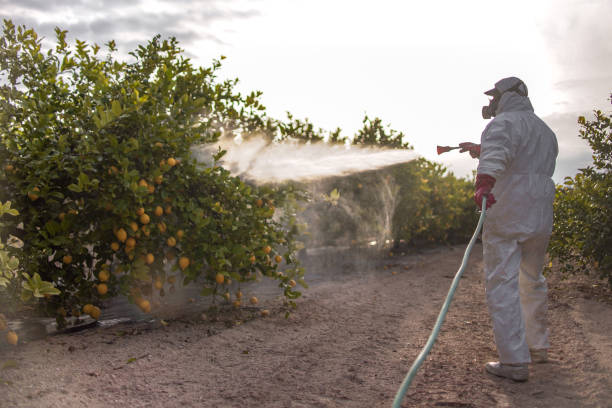 Reliable Carrizozo, NM Pest Control Solutions