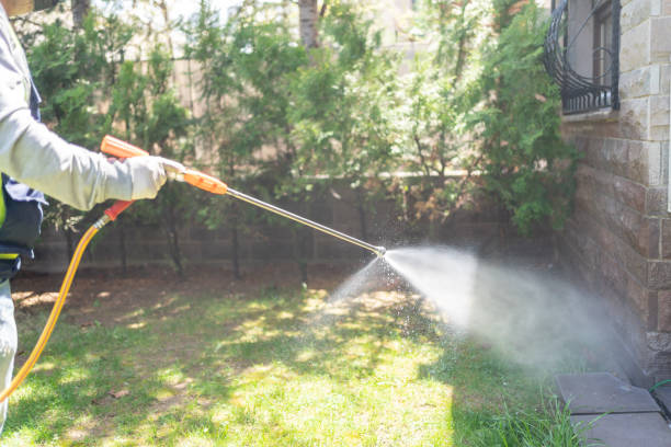 Best Pest Removal Services  in Carrizozo, NM