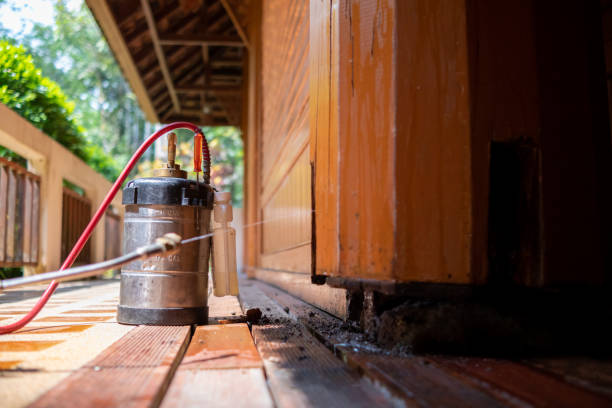 Best Affordable Pest Control Services  in Carrizozo, NM