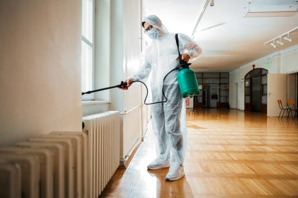 Trusted Carrizozo, NM Pest Control Experts