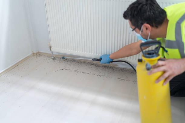 Best Best Pest Control Companies  in Carrizozo, NM