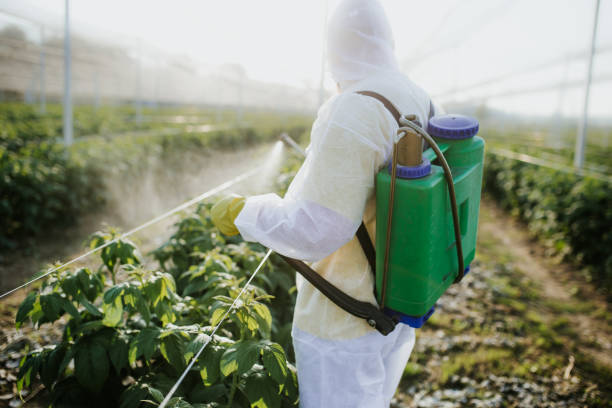 Pest Prevention Services in Carrizozo, NM